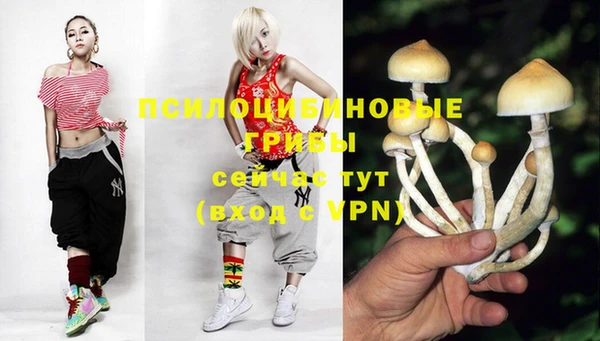 гидра Кулебаки