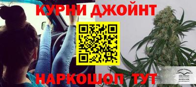 крисы Апшеронск