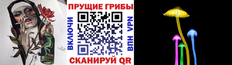 OMG ТОР  где найти   Елец  Псилоцибиновые грибы ЛСД 