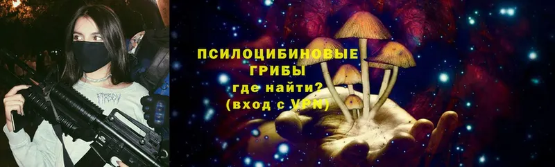 МЕГА   Елец  Галлюциногенные грибы Magic Shrooms 