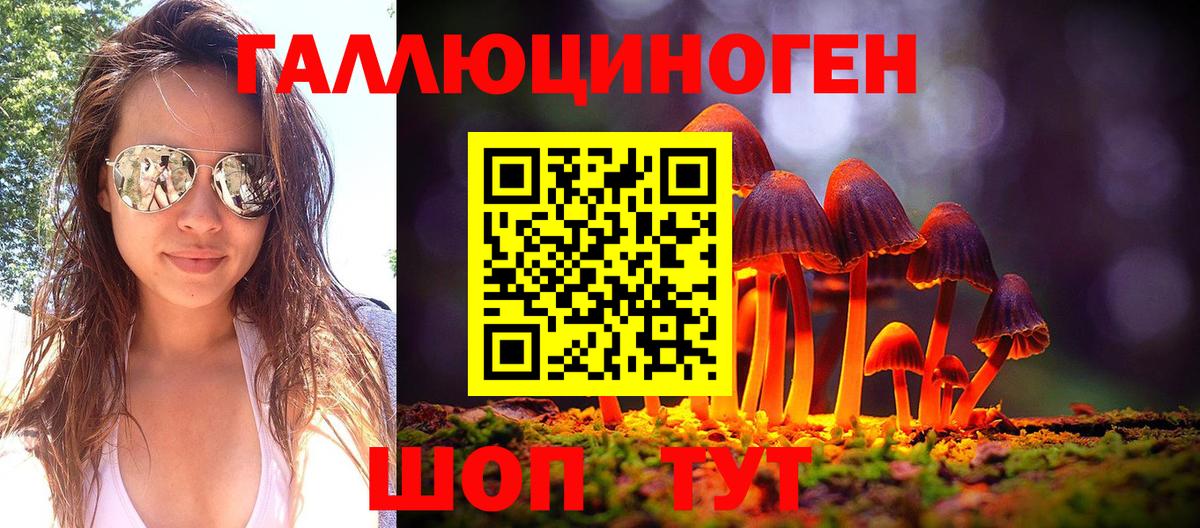 Псилоцибиновые грибы мухоморы  Псилоцибиновые грибы Cubensis  Елец 