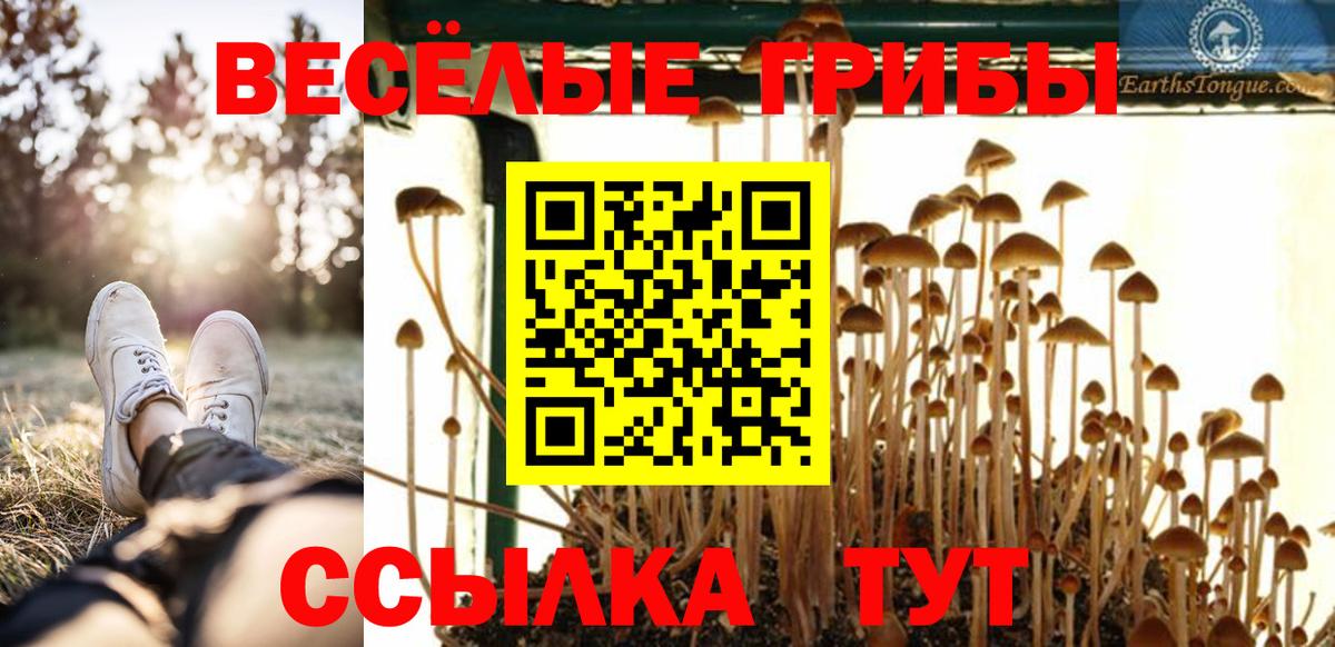 Галлюциногенные грибы мухоморы  Вход с VPN  Елец 